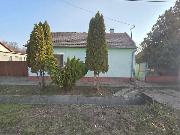 Bori Mihály, Szeged 3. képe