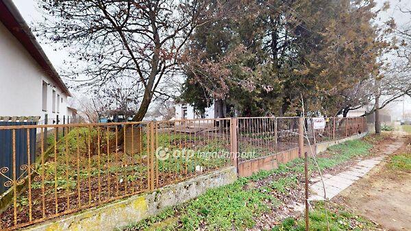 Tiszavasvári 2. képe