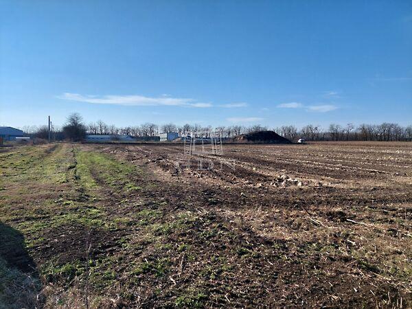 Nyíregyházi, Újfehértó 3. képe