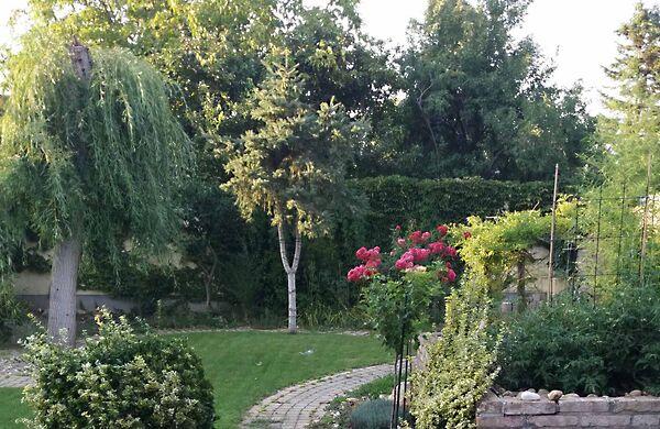 Móricz Zsigmond, Székesfehérvár képe