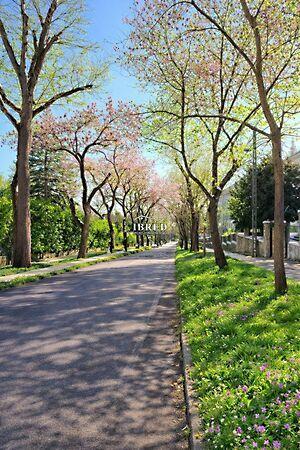 Budapest, XII. kerület képe