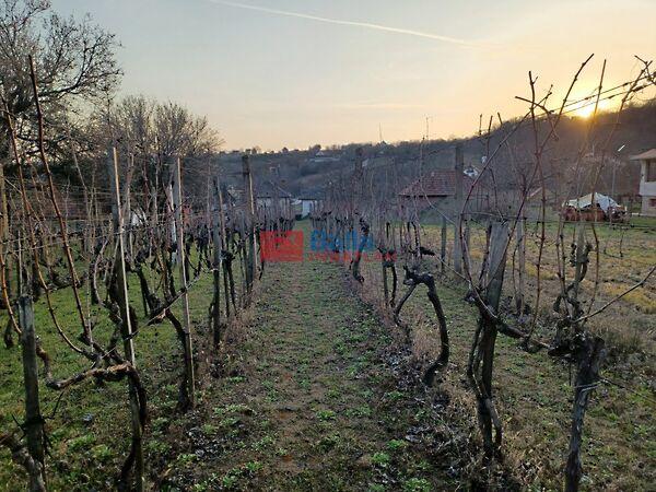 Bágyomi, Pázmánd 2. képe