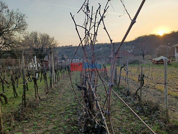 Bágyomi, Pázmánd 3. képe