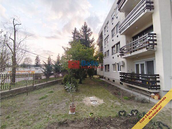 Zsélyi Aladár, Budapest, XVI. kerület 2. képe