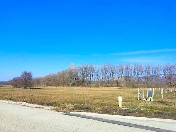 Bécsi, Dorog 2. képe