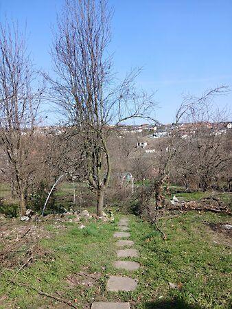 Feszty Árpád, Miskolc képe