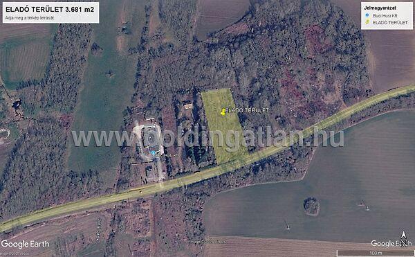 Füredi, Juta 2. képe