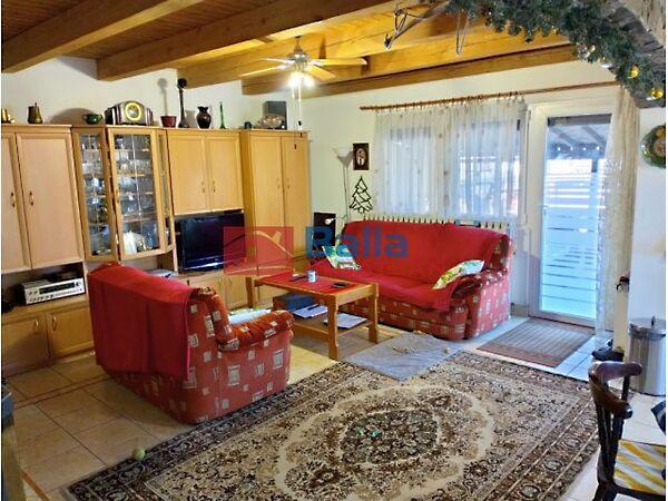 Őzjáték, Mogyoród 3. képe