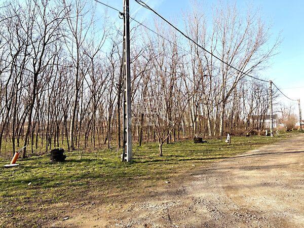 Tokaji, Újfehértó képe