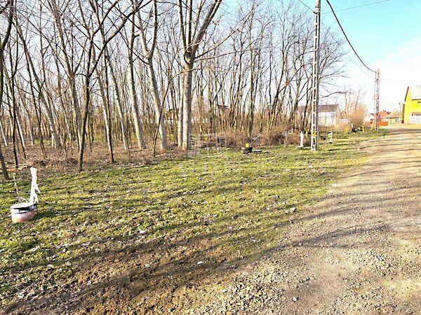 Tokaji, Újfehértó 2. képe