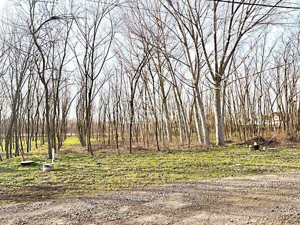 Tokaji, Újfehértó 3. képe