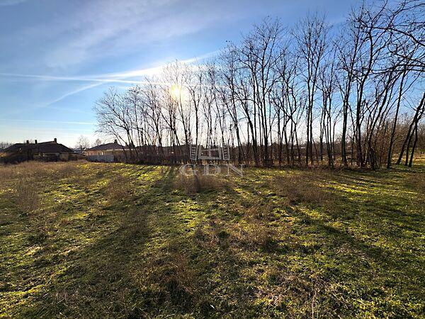 Tokaji, Újfehértó képe