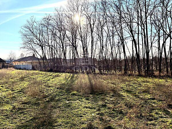 Tokaji, Újfehértó 2. képe