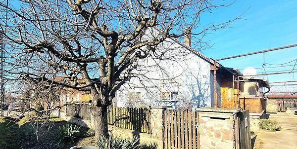 Bernecebaráti képe