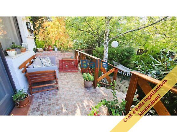 Hóvirág, Szentendre képe