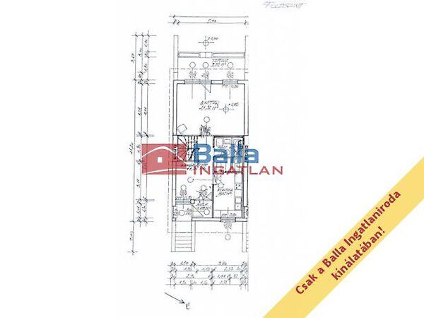 Hóvirág, Szentendre 2. képe