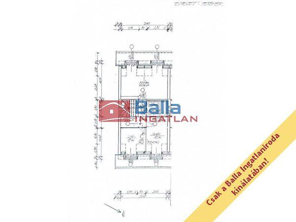 Hóvirág, Szentendre 3. képe