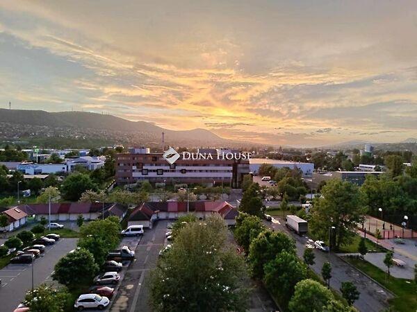 Kaszásdűlő, Budapest, III. kerület 3. képe