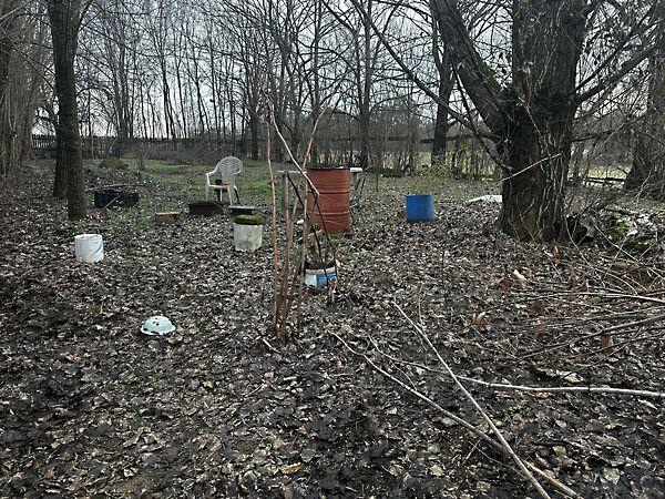 Szüret, Debrecen 2. képe