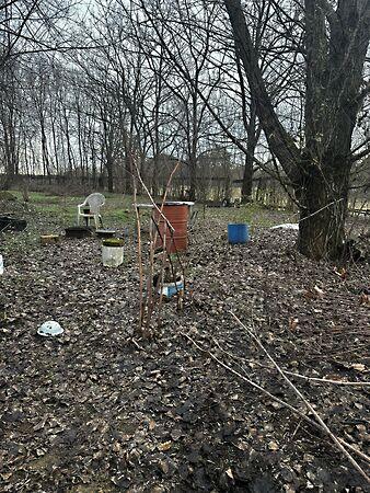 Szüret, Debrecen 3. képe