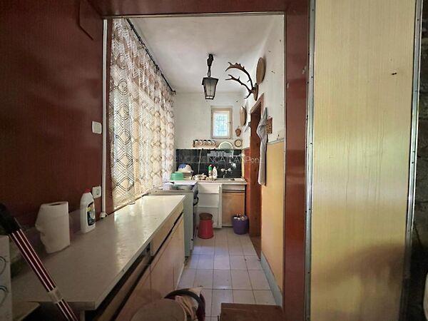 Viola, Velem 2. képe