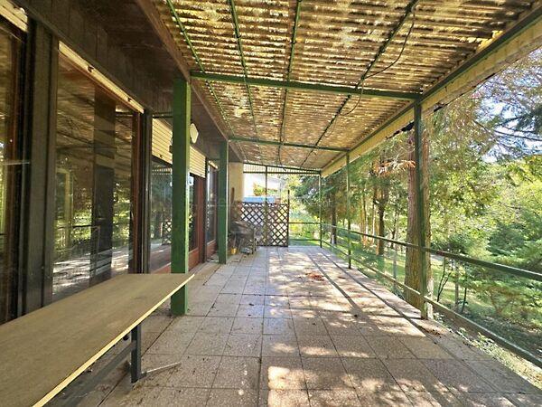 Viola, Velem 3. képe