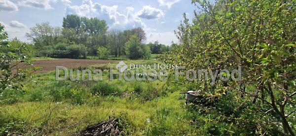 Lengyeltóti 2. képe