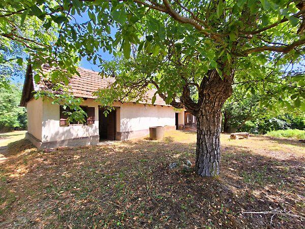 Zalaszentgrót képe