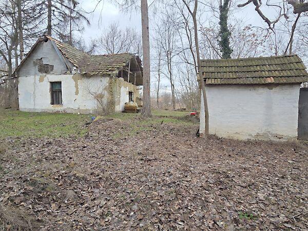 Álmos, Rém 2. képe