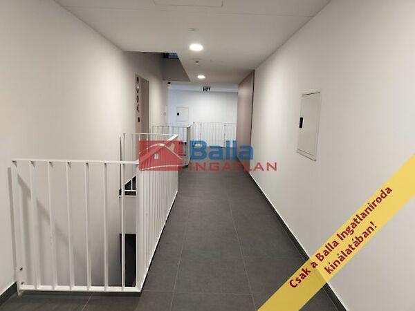 Vágóhíd, Budapest, IX. kerület 3. képe