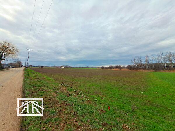 Szőregi, Deszk képe