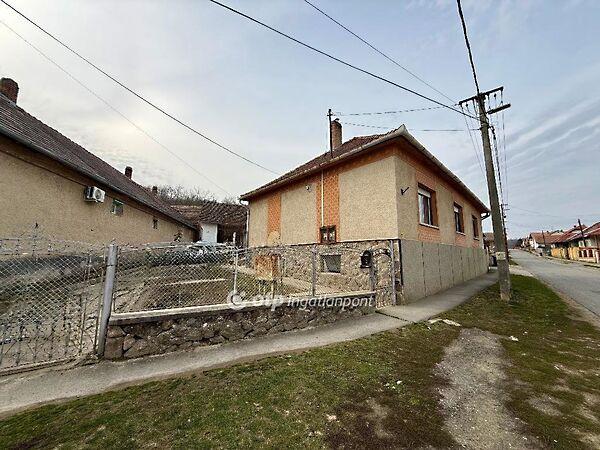 Kossuth Lajos, Hidas 3. képe