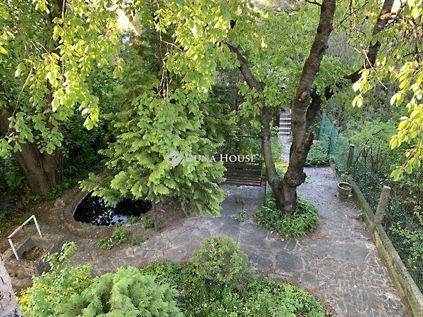 Százszorszép, Pomáz 3. képe