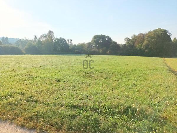 Kehidakustány 2. képe