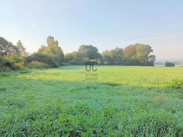 Kehidakustány 3. képe