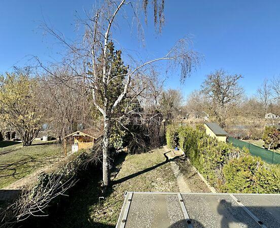 Dömsödi- Holt- Duna, Dömsöd képe