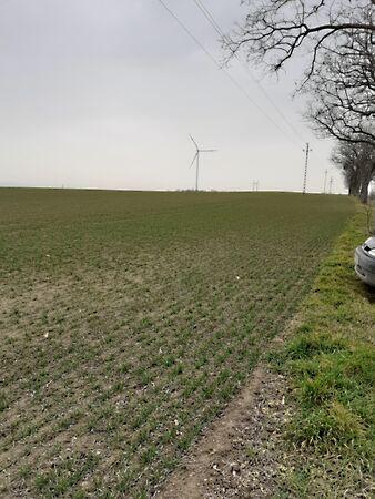 Pápakovácsi 2. képe