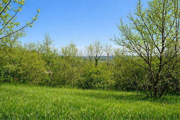 Kehidakustány képe