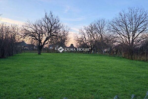 Rózsika, Úri 3. képe