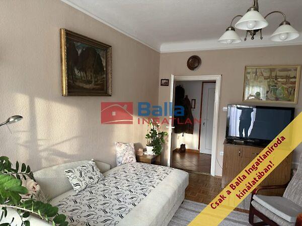 Ifjuság, Szigetszentmiklós 3. képe