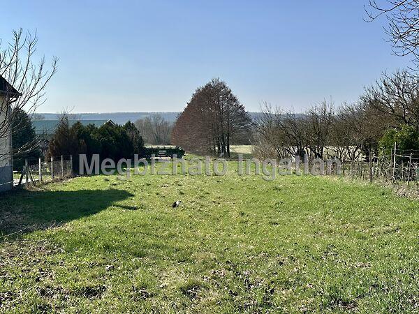 Hunyadi János, Kehidakustány 2. képe