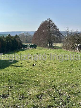 Hunyadi János, Kehidakustány képe