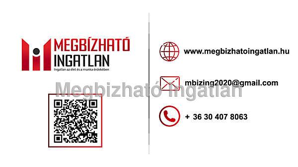 Hunyadi János, Kehidakustány 3. képe