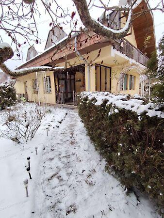 Kehidakustány képe