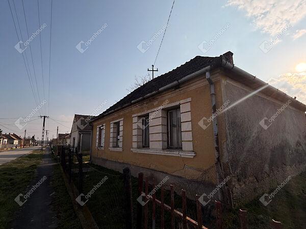 Petőfi, Zalavár képe