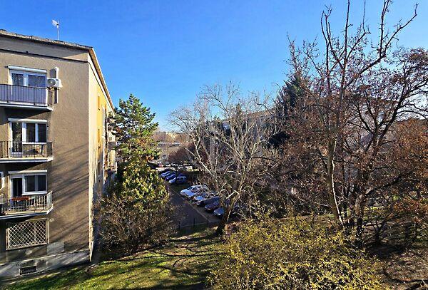 Padlizsán, Budapest, XIV. kerület képe