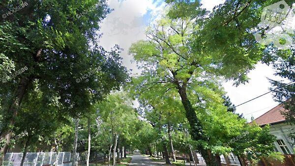 Széchenyi, Kecskemét képe