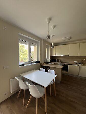 Kodály Zoltán, Pécs képe