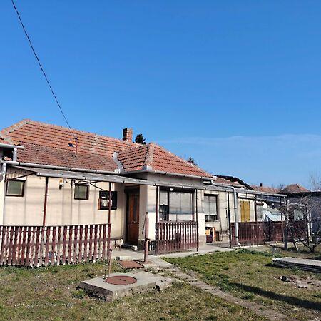 Magdolna, Mezőkövesd képe